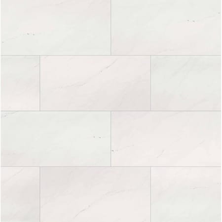 Msi Aria Ice 12 In. X 24 In. Polished Porcelain Floor And Wall Tile, 8PK ZOR-PT-0241